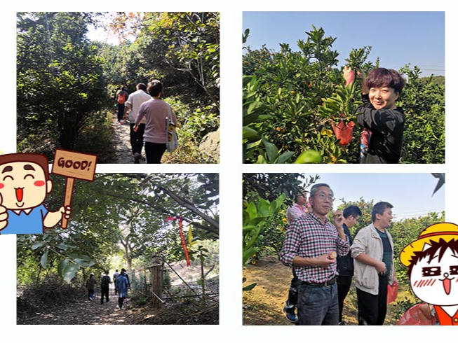 三盛机电团队<i style='color:red'>徒步</i>穿越之旅：重走军嶂古道，感受千年古道文化余温。